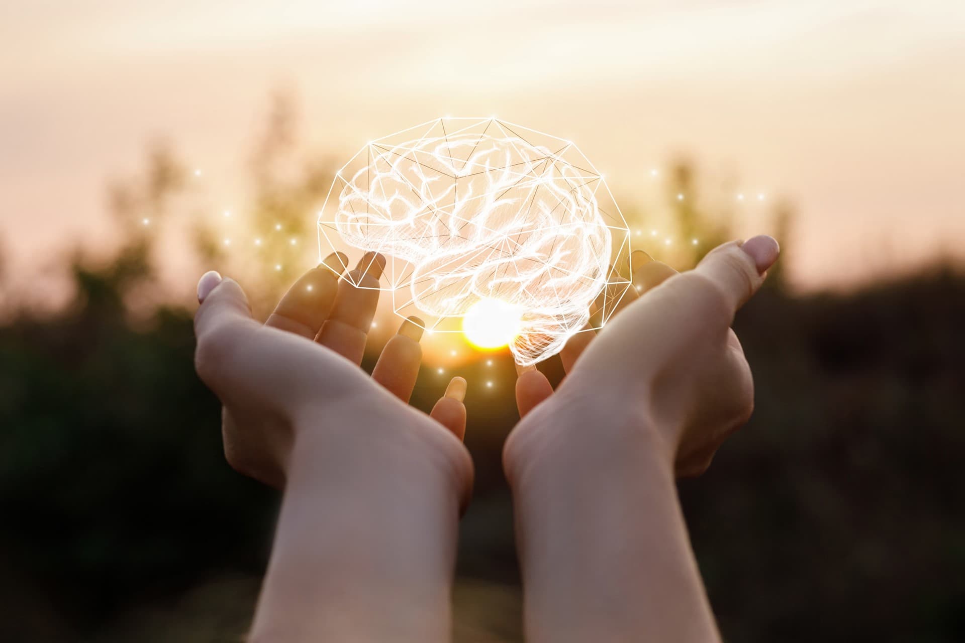 Psique e Gaia, gabinete de psicología